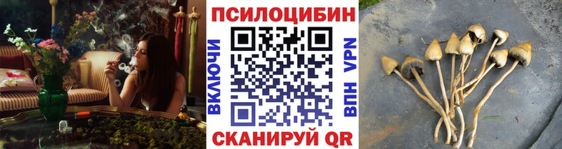 где найти наркотики  Сорочинск  Галлюциногенные грибы мицелий 
