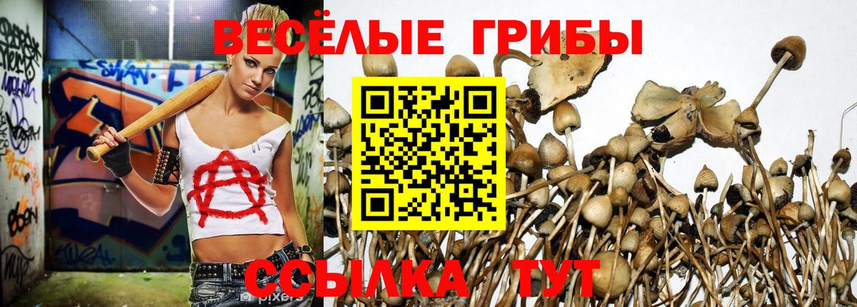 Галлюциногенные грибы GOLDEN TEACHER Сорочинск