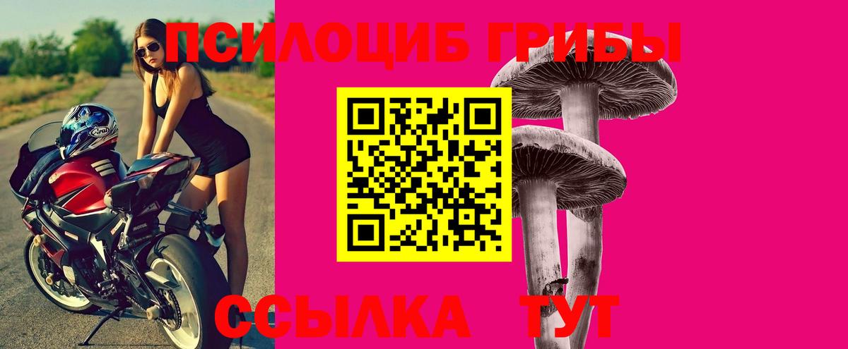 Сорочинск  Галлюциногенные грибы мицелий  Вход с VPN 